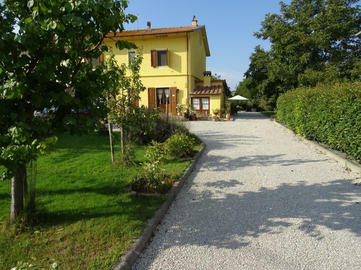 Appartamento Podere I Renai Santa Maria a Monte Dış mekan fotoğraf